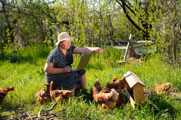 Elderly woman with laptop and chickens in village