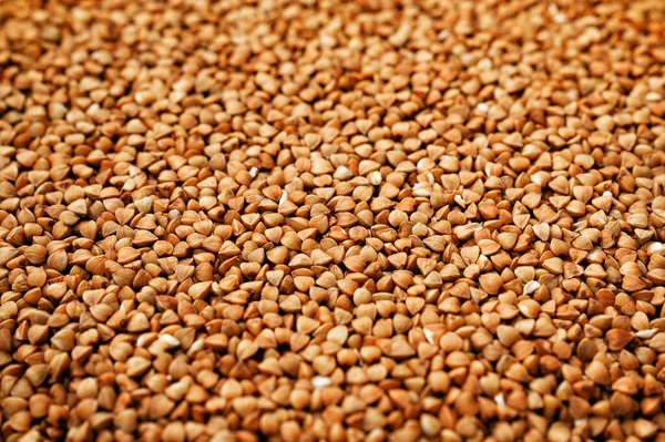 Karabuğday arkaplan dokusu