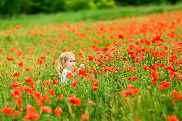 Wunderschönes Kind pflückt Blumen im Mohnfeld — Stockfoto