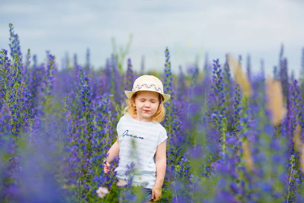 Mavi mor çiçeklerle tarladaki küçük kız — Stok fotoğraf
