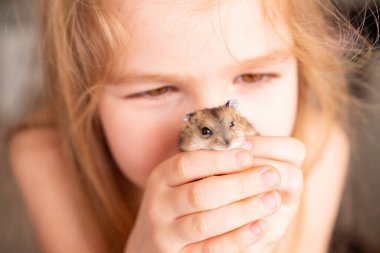 Küçük tatlı kızların ellerinde Asyalı hamster..