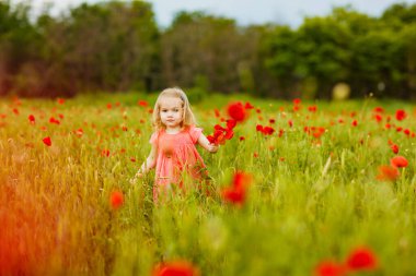 Haşhaş tarlasında çiçek toplayan güzel çocuk