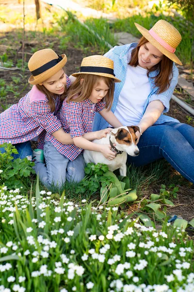 Мама с дочерьми и собакой сидит на лужайке — стоковое фото
