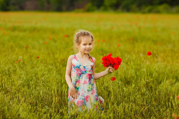 Krásné dítě trhání květin v máku pole — Stock fotografie