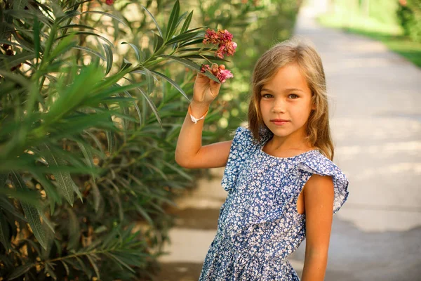 Niña de pie en el parque en el sitio —  Fotos de Stock