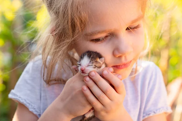 Newborn kitten in hands of a little girl. — Stock Photo, Image