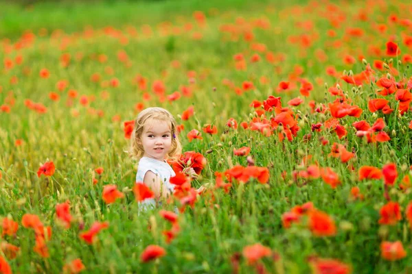 Hermoso niño recogiendo flores en el campo de amapola — Foto de Stock