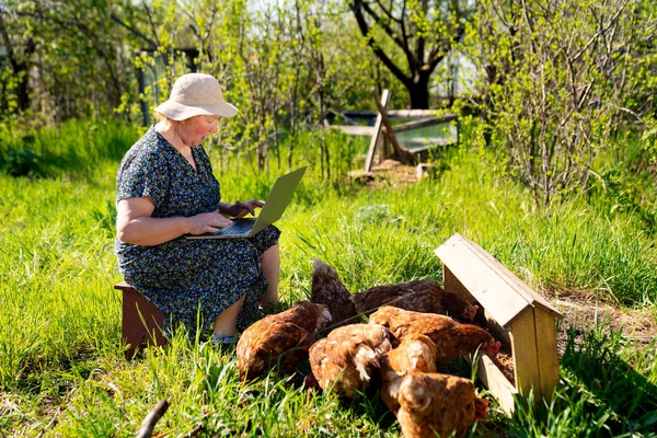 Mujer mayor con portátil y pollos en la aldea — Foto de Stock