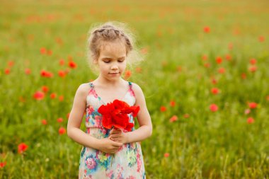 Haşhaş tarlasında çiçek toplayan güzel çocuk