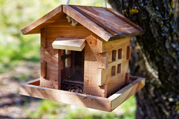Houten hut vogelhuisje voor vogels in boom in het voorjaar — Stockfoto