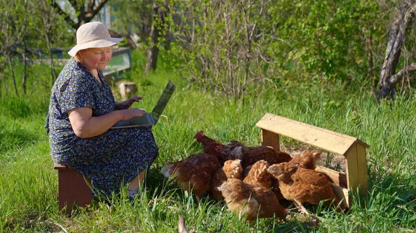 Idős nő laptoppal és csirkével a faluban — Stock Fotó