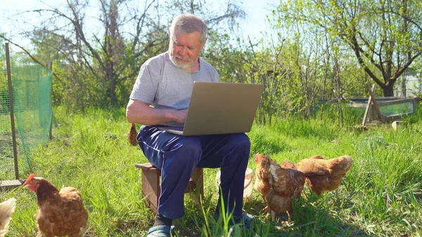 Idős férfi laptoppal a faluban csirkével — Stock Fotó