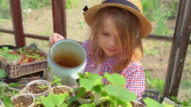 Очаровательная маленькая девочка в шляпе поливает саженцы — стоковое видео