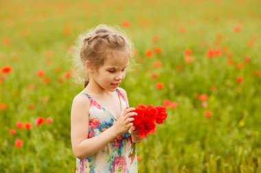 Haşhaş tarlasında çiçek toplayan güzel çocuk