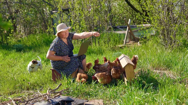 Mujer mayor con portátil y pollos en la aldea — Foto de Stock