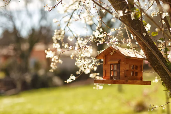 Cabaña de madera pajarera para pájaros en árbol en primavera —  Fotos de Stock