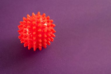 Mor üzerine Coronavirus hastalığı modeli COVID-19