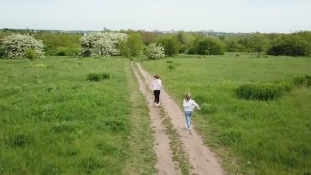 Gyerekek lányok futnak egy gyalogúton a mezőn. — Stock videók