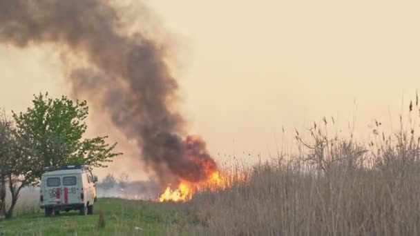 Καίει στεγνό γρασίδι στον καπνό του ουρανού. πυροσβεστικό όχημα — Αρχείο Βίντεο