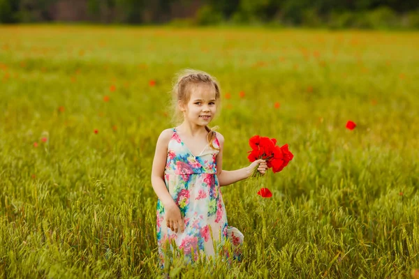 Krásné dítě trhání květin v máku pole — Stock fotografie