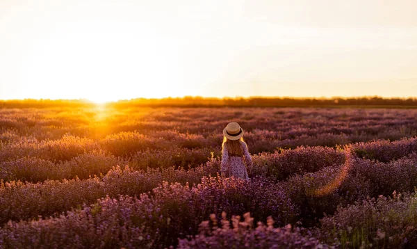 Lavendel. Zonsondergang. Meisje op de vlucht. Achteraanzicht. — Stockfoto