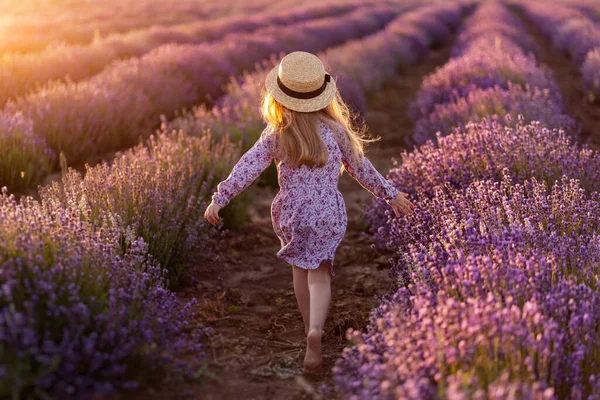 Lavendel. Een klein meisje met een hoed op. Achteraanzicht. — Stockfoto