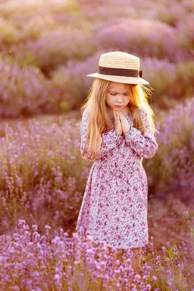 Campo de lavanda. Niña en Sunset . — Foto de Stock