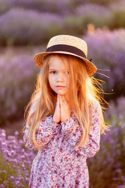 Gebied van lavendel. Een klein meisje bij zonsondergang. close-up — Stockfoto