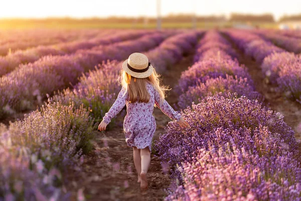 Een veld lavendel. Een klein meisje gaat. Achteraanzicht. — Stockfoto