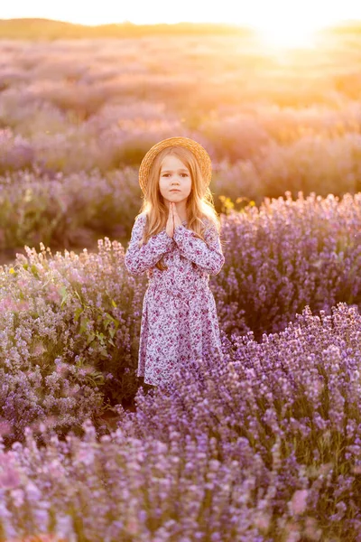 Lavanda de campo. niña rubia con el pelo largo — Foto de Stock