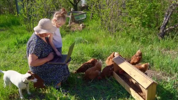 Kleindochter leert oma om op de computer te werken. kippen en een hond — Stockvideo