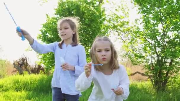 Dua saudara perempuan kecil mengembang gelembung sabun pada piknik — Stok Video