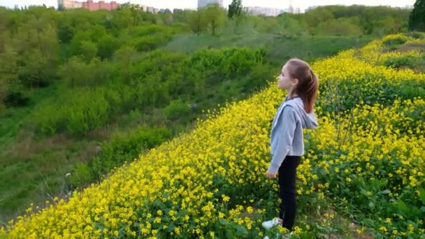 Meisje maakt een selfie staand op de heuvel met gele bloemen. natuurwandelingen. — Stockvideo