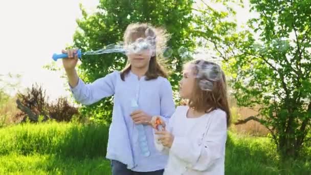 Две сестры маленькие девочки надувают мыльные пузыри на пикнике — стоковое видео