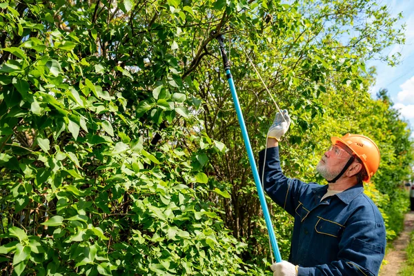 Gärtner mit Helm trimmt Bäume im Garten. Schutz vor herabfallenden Ästen — Stockfoto
