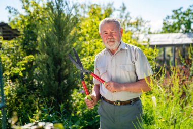 Yaşlı bir adam elinde makasla çalı makası kesiyor..