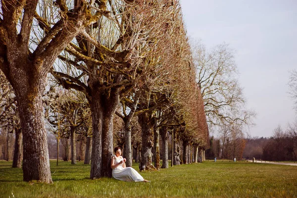 Château de Chambord, France. la jeune fille, la mariée s'assoit dans un arbre sur la ruelle. — Photo