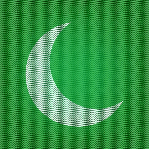 Ilustração do sinal lunar. ícone branco no tricô verde ou lã — Vetor de Stock