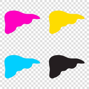 İnsan anatomisi illüstrasyon. Karaciğer işareti. Transparen CMYK simgeleri