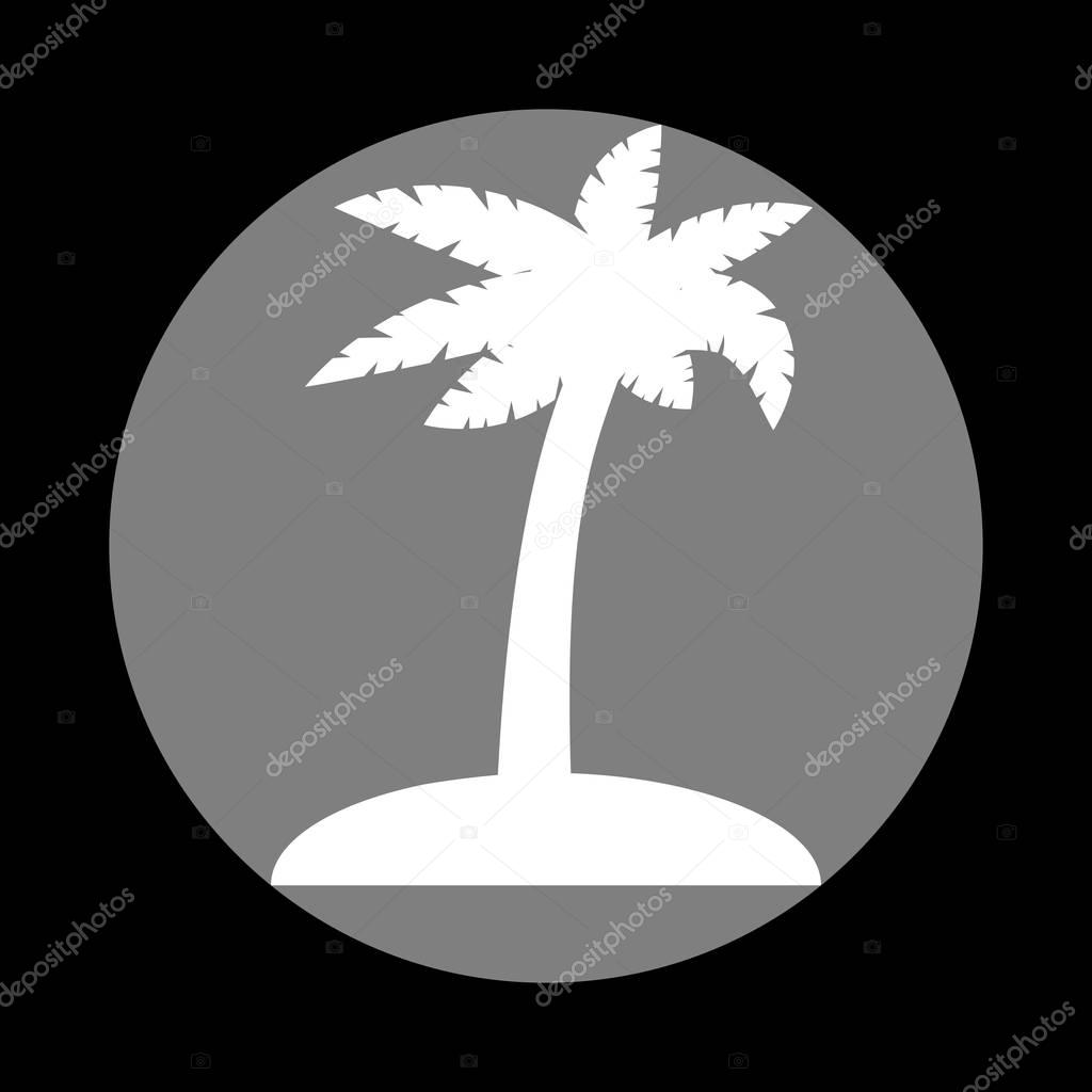 Coconut palm tree sign. White icon in gray circle at black background. Circumscribed circle. Circumcircle.