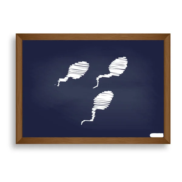 Sperms sign illustration. White chalk icon on blue school board — Stock Vector