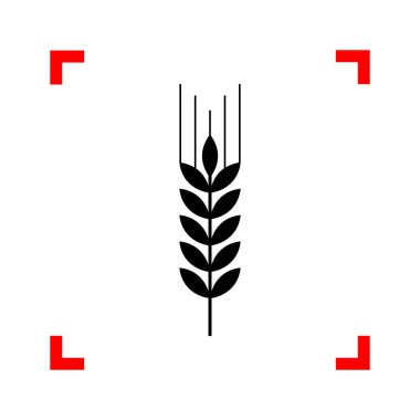 Buğday işareti illüstrasyon. Siyah beyaz ba köşelerinde odak simgesinde