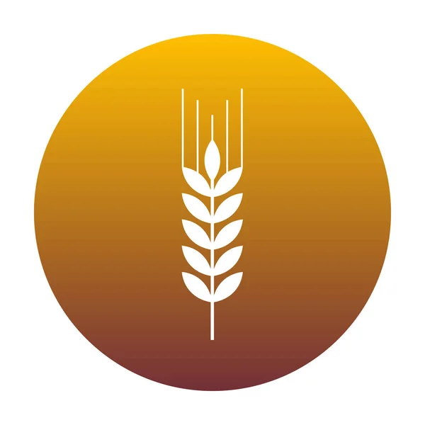 Wheat sign illustration. White icon in circle with golden gradie — Stock Vector