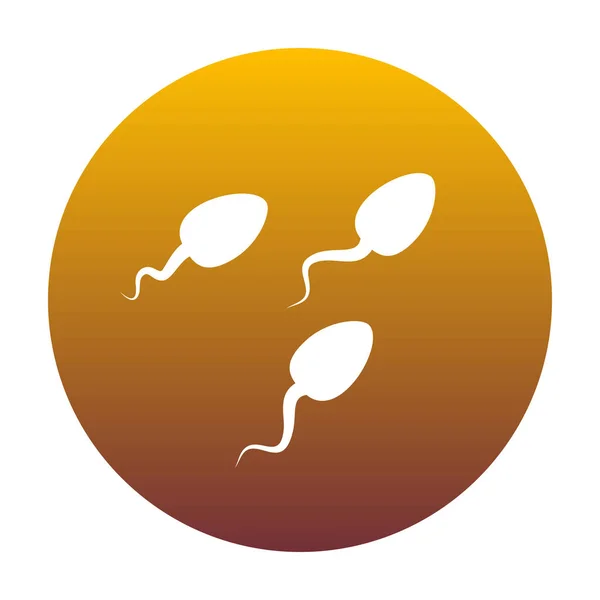 Sperms sign illustration. White icon in circle with golden gradi — Stock Vector