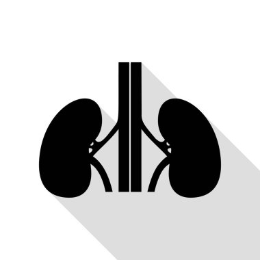 İnsan böbrekler işareti. Düz stil gölge yolu ile siyah simgesi.