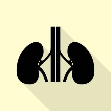 İnsan böbrekler işareti. Düz stil gölge yoluyla krem arka plan üzerinde siyah simgesi.