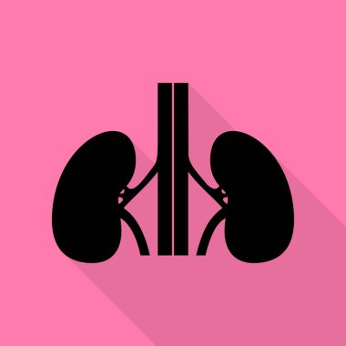 İnsan böbrekler işareti. Düz stil gölge yoluyla pembe bir arka plan üzerinde siyah simgesi.