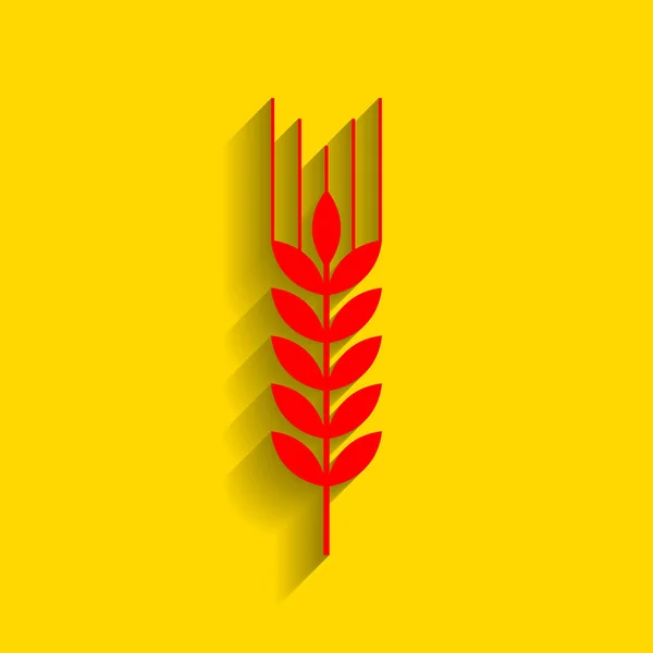 Иллюстрация пшеницы. Вектор. Красный значок с мягкой тенью на золотом фоне . — стоковый вектор