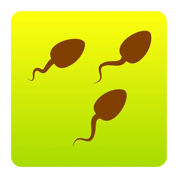 Sperms 서명 그림. 벡터입니다. 흰색 바탕에 둥근된 모서리와 함께 녹색-노란색 그라데이션 스퀘어에서 갈색 아이콘. 절연. — 스톡 벡터