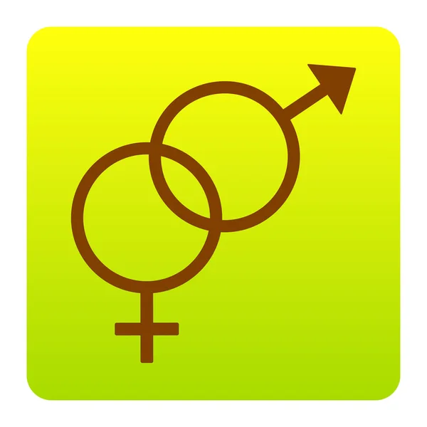 Signe de sex-symbole. Vecteur. Icône marron au carré dégradé vert-jaune avec des coins arrondis sur fond blanc. Isolé . — Image vectorielle
